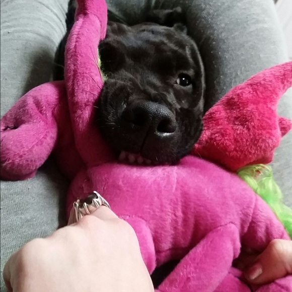 Smile- you’re shopping! Bonus “bargain hunting” - Picture 6 of 15